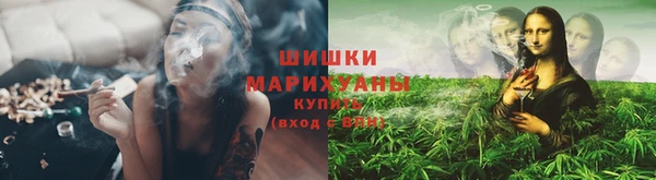 гидропоника Надым